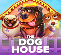 the dog house